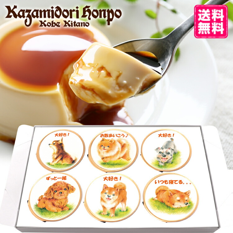 ぷりん【即日発送•メッセ不要】ページ dog6-image.jpg