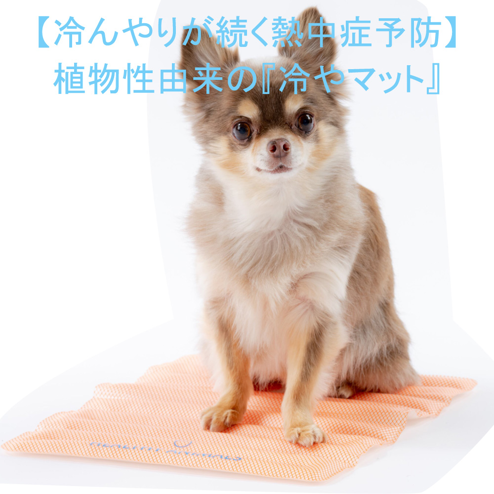 あす楽 犬 冷却マット ペット 猫 ひんやりマット 冷やしすぎない 熱中症予防 グッズ ひんやり 冷感マット 暑さ対策