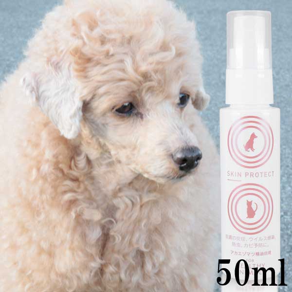 楽天市場 あす楽 犬 猫 肌ケア用品 マラセチア菌 アトピー皮膚炎の予防 改善に 天然素材 スキンプロテクトスプレー 1ml 抗菌作用 炎症予防 防虫 獣医師監修 無添加 無着色 Jan ヘルシーアニマルズ Healthy Animals 楽ギフ 包装 コンビニ受取
