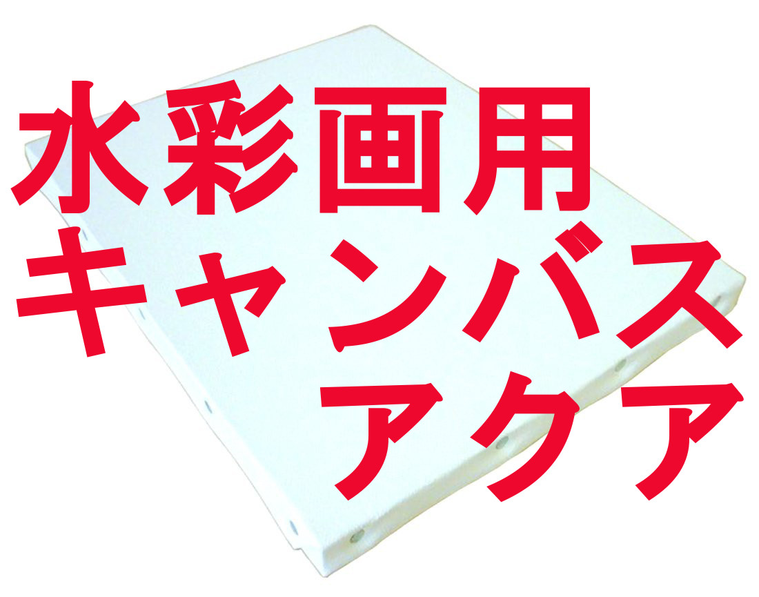 楽天市場】張りキャンバス クレサン 【30号】 : 画材、額縁、コピック