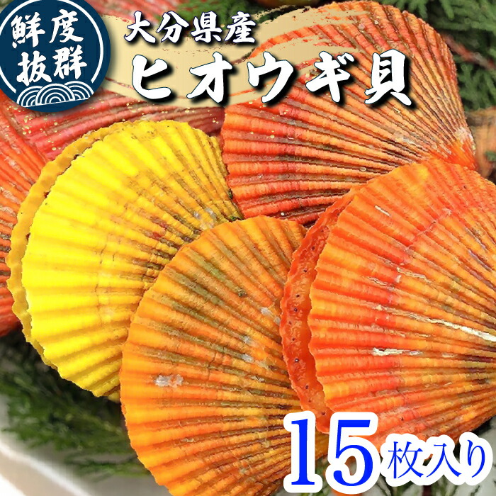 楽天市場】【 ヒオウギ貝 】ひおうぎ貝 緋扇貝 檜扇貝 虹色貝 海