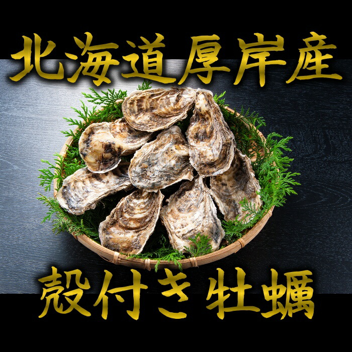 早割クーポン 送料無料 北海道厚岸産 殻付き牡蠣 10個入り 牡蠣 カキ かき 生牡蠣 生カキ 刺身 お歳暮 御歳暮 贈答用 御祝 プレゼント ギフト 記念日 北海道グルメ 北海道産 厚岸産 海外正規品 Blog Belasartes Br