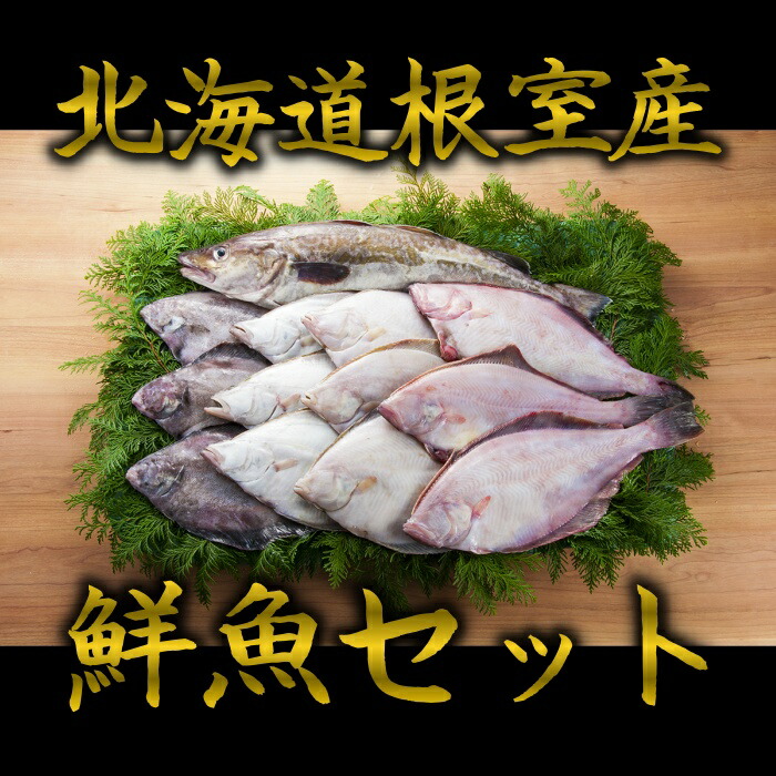 送料無料 北海道根室産 味噌汁 あさり貝 酒蒸し 浅利 殻付き 国産 北海道産 北海道グルメ 貝 あさり アサリ 特大浅利500g