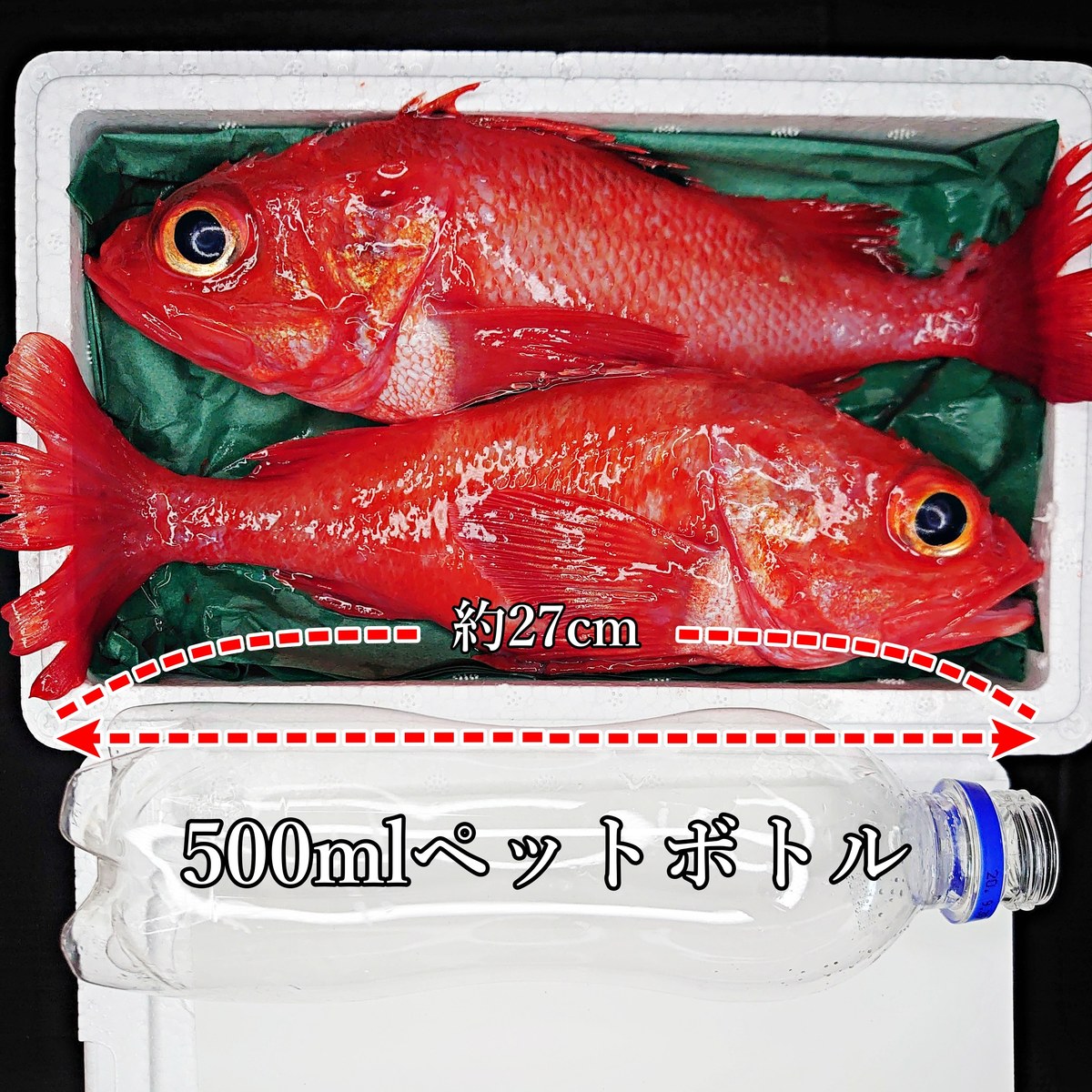 受賞店舗 北海道根室産きんき めんめ 300g前後2尾 キンキ キチジ 吉次 高級魚 鮮魚 焼き魚 煮魚 魚 御歳暮 贈答用 御祝 プレゼント ギフト 記念日 北海道グルメ 北海道産 訳ありセール格安 Ostomasevac Edu Rs