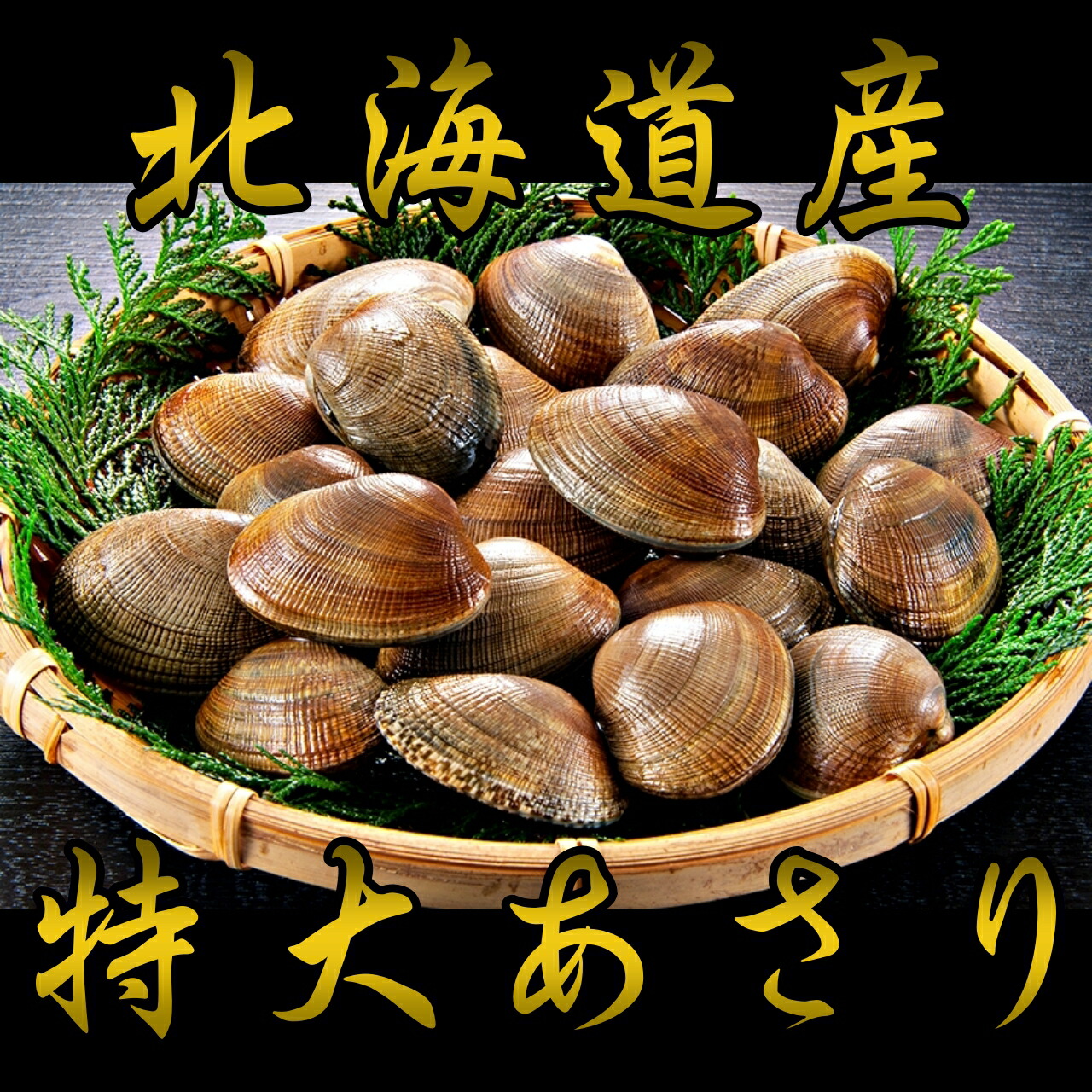 市場 送料無料 国産 アサリ 味噌汁 貝 特大浅利500g 酒蒸し 浅利 あさり 北海道グルメ 北海道根室産 殻付き 北海道産 あさり貝