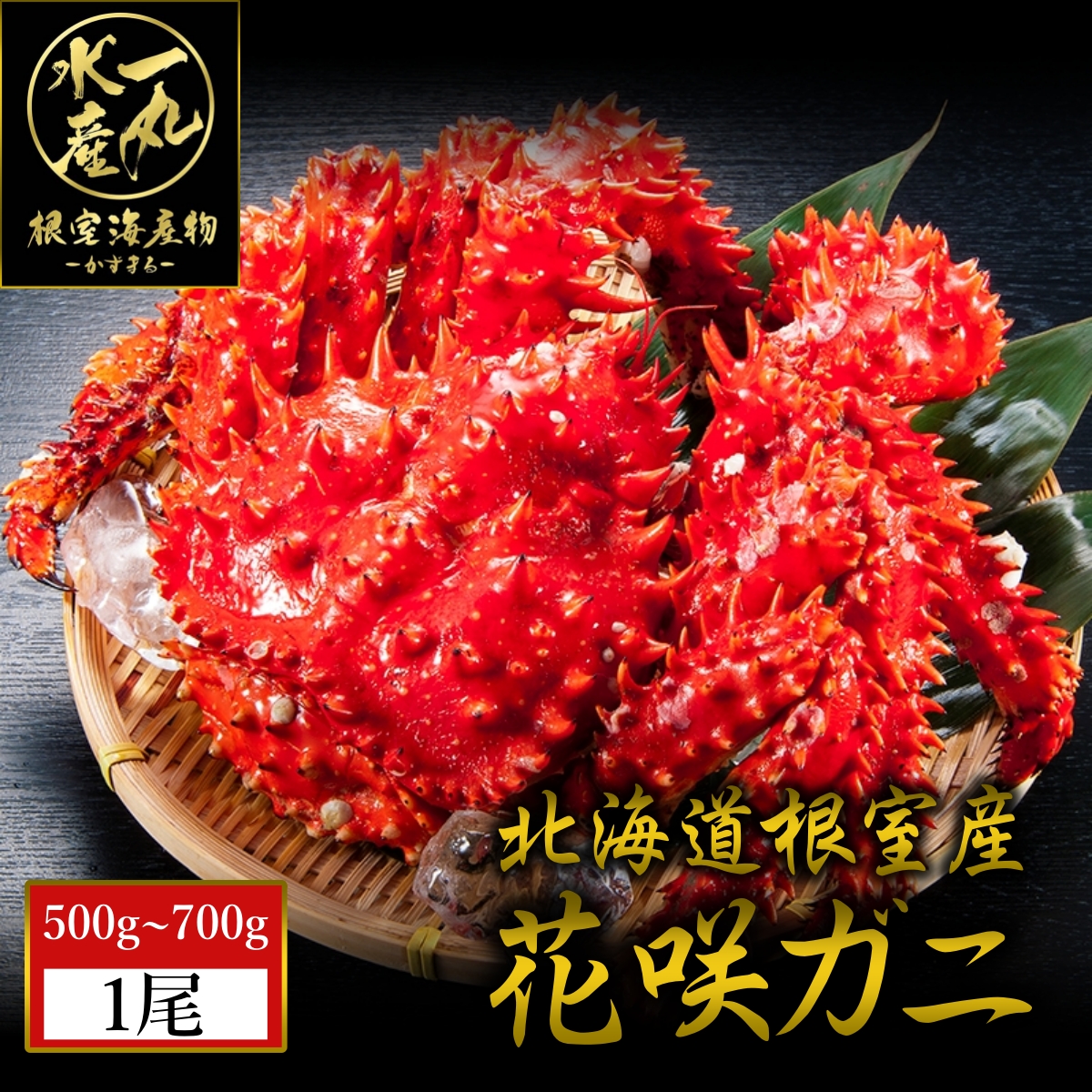 imgrc0119315816.jpg