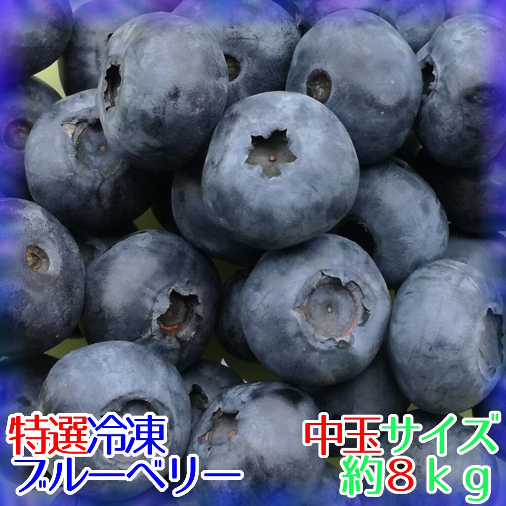 楽天市場】【特選】完熟冷凍ブルーベリー[大玉]約1kg【農薬不使用 