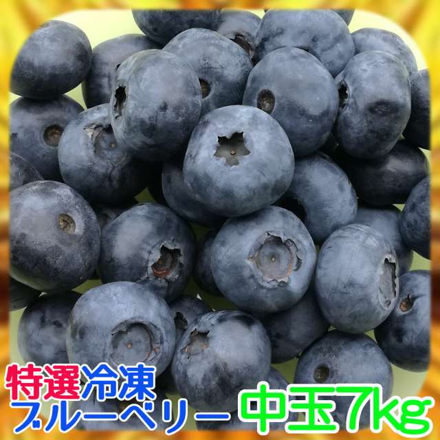 【楽天市場】【１００％国産】完熟冷凍ブルーベリー[中玉]約１ｋｇ【農薬不使用】※化粧箱なし※ : かづの精果園 自然派ブルーベリー