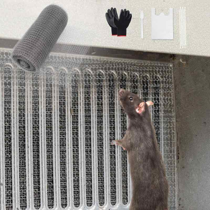 ねずみページ 31153911_3.jpg