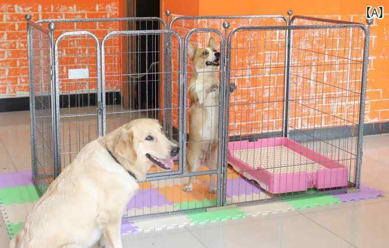 愛玩動物駒寄せ 小型犬 中型犬 大型犬 室内用 ドッグサークル スチール写真製 精神的な統合飾り気のない 論理ゲート 柵 犬装置 愛玩動物ゲージ ドッグラン 出しゃばる押しとどめる 牢固たる 納めるし分かりやすい 牢固たるな金属元素製伏せ篭 多役立つこと愛玩動物倶楽部