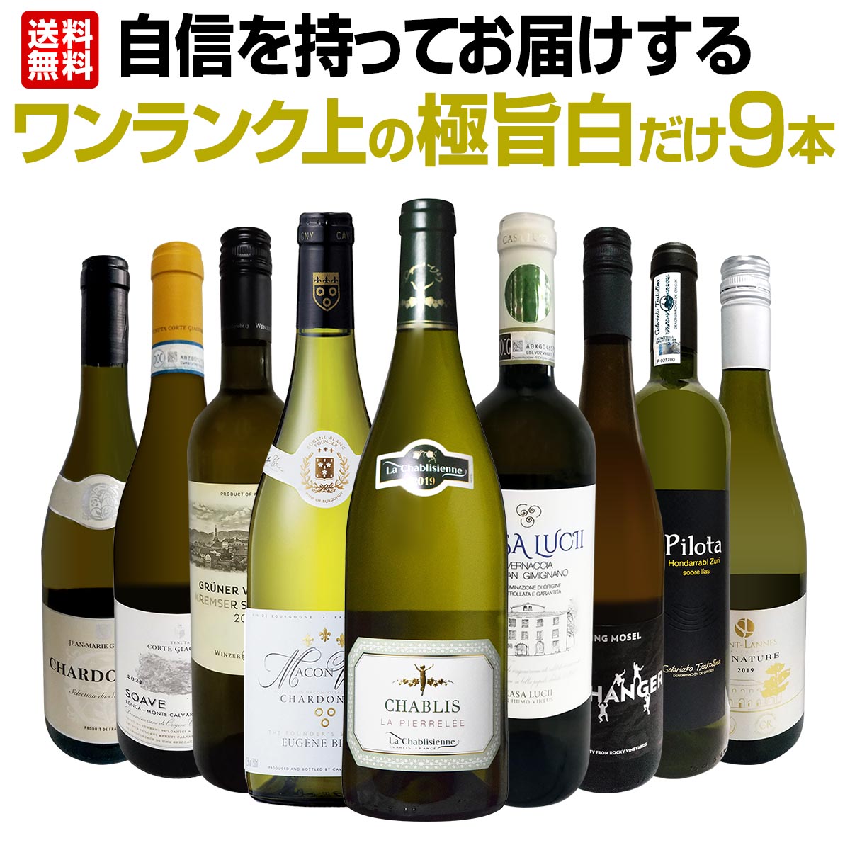 実物 デイリー シャルドネの決定版 向上目覚しいチリ アルゼンチンのシャルドネ６本セット