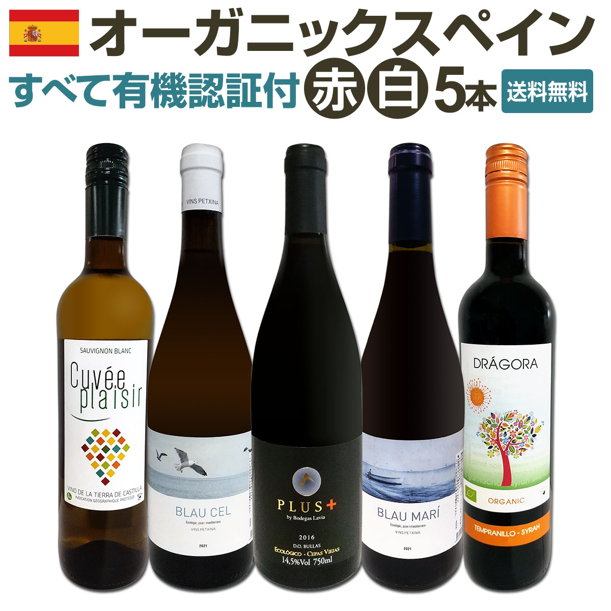 【送料無料】ピノ好き集まれ！品質向上目覚しいチリ・ピノ６本！ 京橋ワイン
