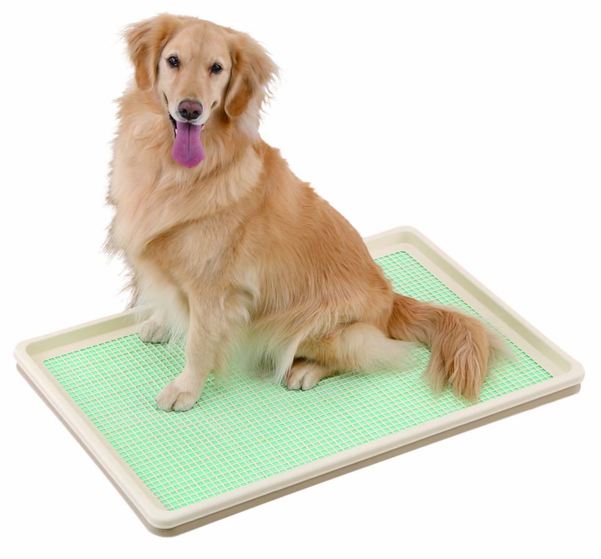 【百貨店SALE】ボンビアルコン しつける御盆 XL メッシュ手合い Pp