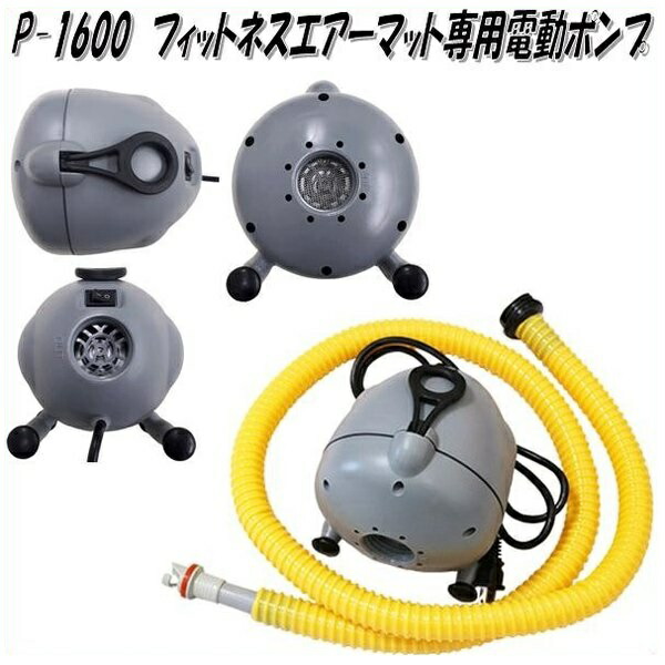 中旺健全さ P-1600 フィットネスエアーマット用電動揚水機 カテゴリー化D【製造業者直送】【代引っ張ること/同梱不可】【形づくるつや消し フィットネスマット】