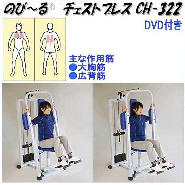 楽天市場】中旺ヘルス CH-311 ディップス ウエイト30kg 可動域専用業務