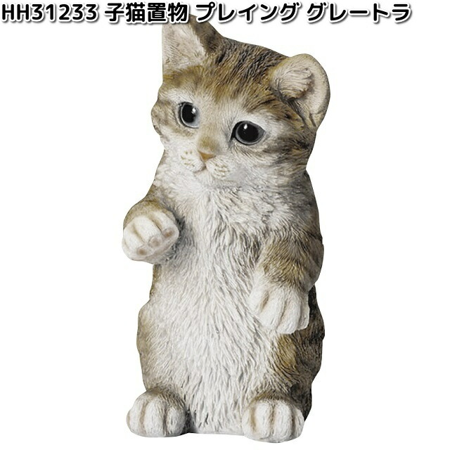 マンチカン 新しい子がきました♪ 🐱マンチカン 6月25日生 男の子 #テンテン