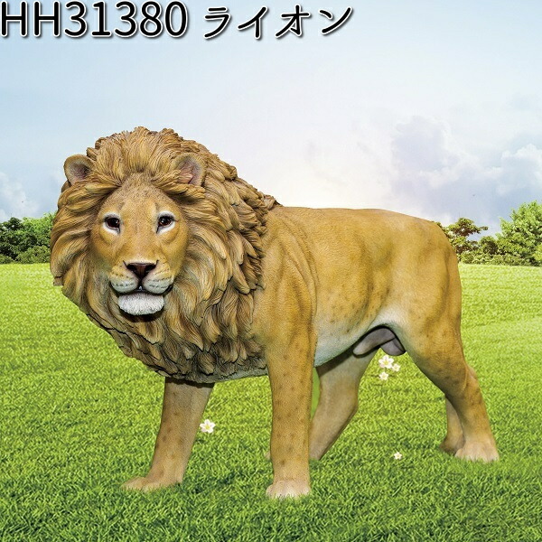 置物 ダイケン物置ガーデンハウス DM-Z2117-G 豪雪型・棚板付 幅2208