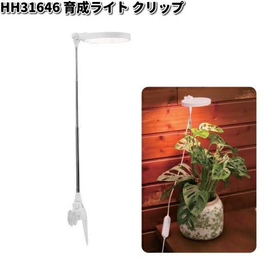パナソニック　ライト　インテリア　レア NYT1023NZLE9 パナソニック 屋外用LEDスポットライト 防雨型