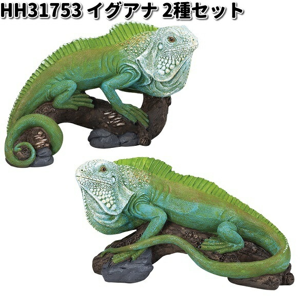 ⭐︎新品⭐︎イグアナ ブローチ グリーン／conoco 楽天市場】HH31755 イグアナ L オーナメント エイチツーオー HH