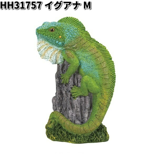 楽天市場】HH31755 イグアナ L オーナメント エイチツーオー HH
