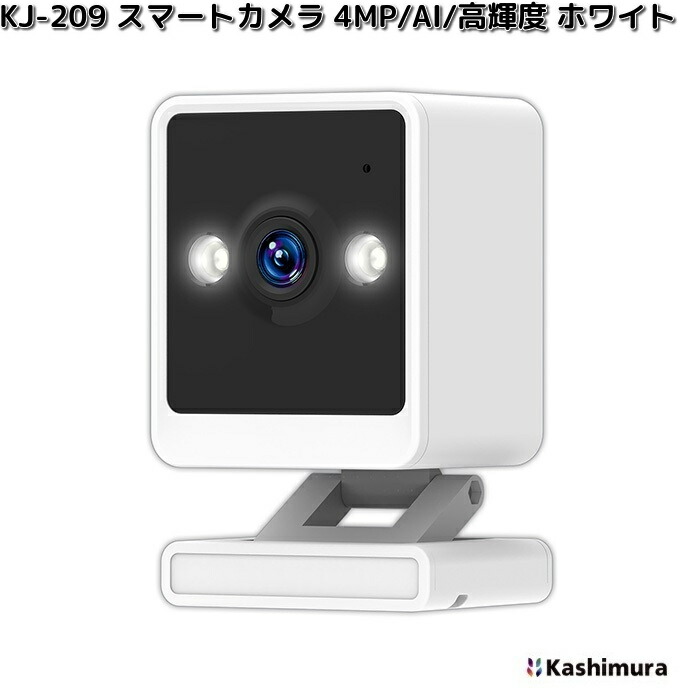 楽天市場】＼先着 最大400円OFF☆今年最後のBIGSALE！／カシムラ