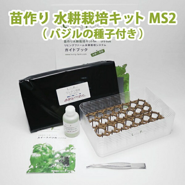 リリィ様　野草酵素8本セット 楽天市場】栽培セット サボテン 聖新陶芸 カクタスdeカクタス GD