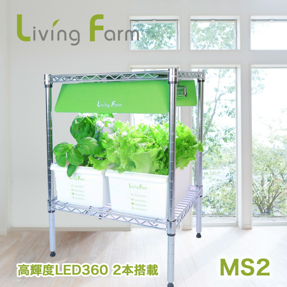 LF-MSL2 水耕作りだす一揃いの道具 リビング農場 LFMSL2【製造会社直送】【代引っ張ること／同荷作り不可】無農薬蔬菜 作りだす一揃いの道具 水耕作りだす 作りだす仕かける LivingFarm