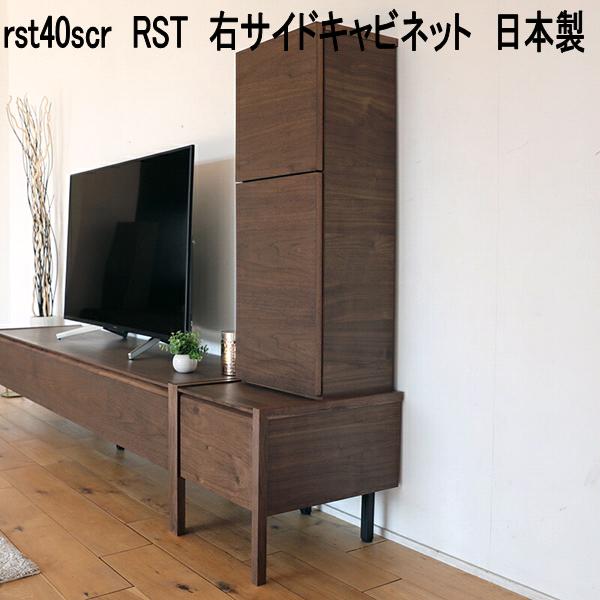 rst40scr RST 右片方押し入れ 日本製 赤銅色【貨物輸送無料(北海道・丑寅・沖縄・離島を除く)】【製造業者直送品】【同梱／代引不可】TV台 テレビ受像機台 テレビ受像機ゲーム盤 リビングゲーム盤 TVゲーム盤 置き目ゲーム盤