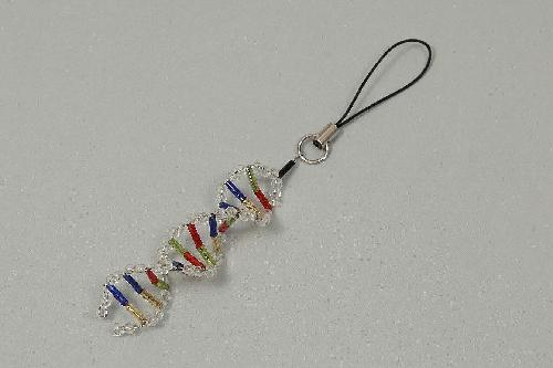 楽天市場】血液循環系模型アーテック 実験キット 自由研究 /生物