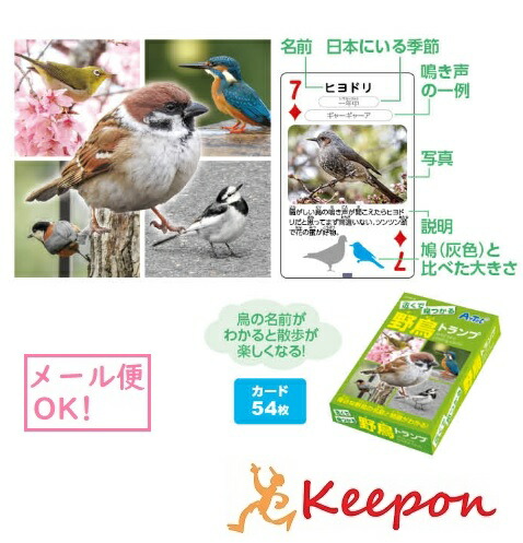 楽天市場 近くで見つかる野鳥トランプ 11個までメール便可能 アーテック トランプ 鳥 名前 特長 キープオン学習イベントショップ