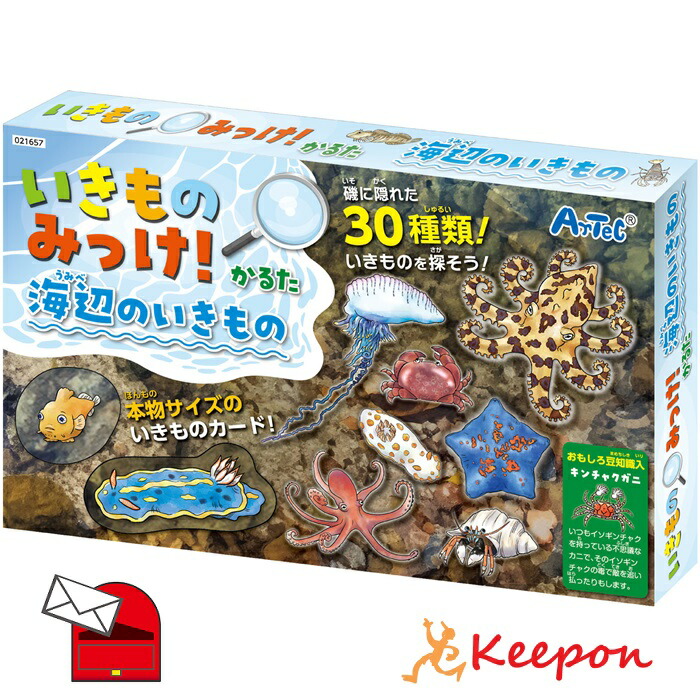 楽天市場】かるた カードゲーム 海の生き物 #21657 いきものみっ