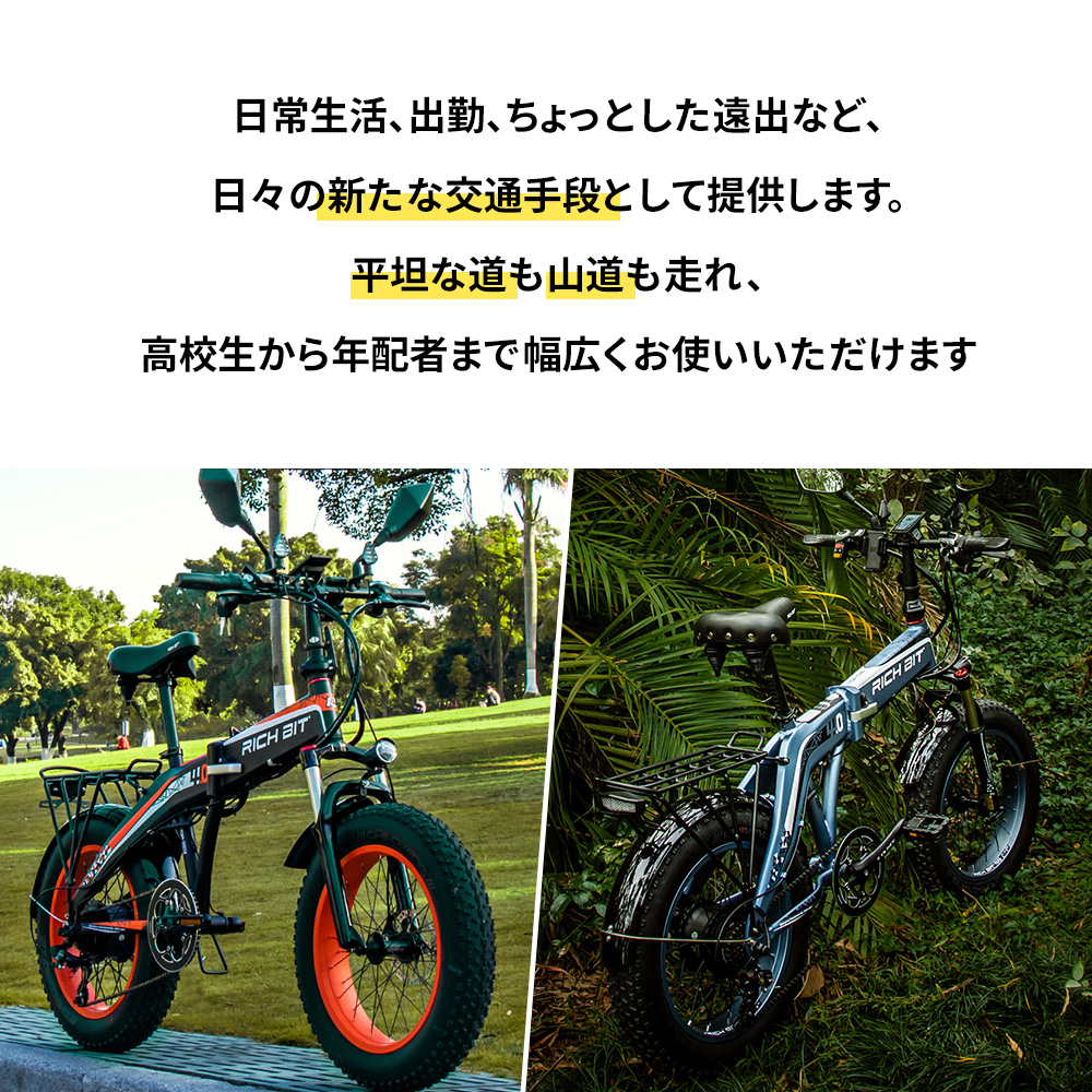 ファットバイク 電動アシスト自転車 電動自転車 Ebike Eバイク 極太