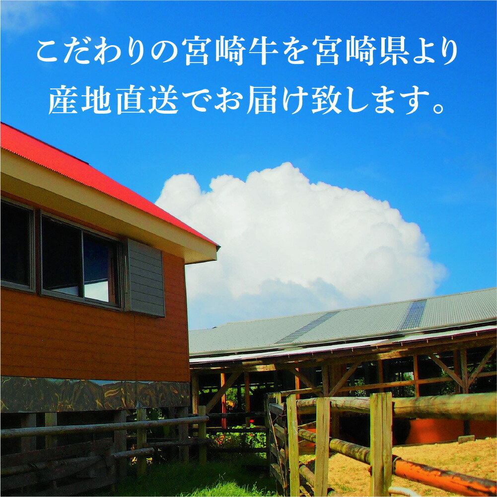 楽天市場 カタログギフト 選べる宮崎牛 国産和牛 宮崎牛 すき焼き しゃぶしゃぶ 焼肉 ステーキ 牛肉 牛 肉 和牛 ブランド牛 お中元 お歳暮 父の日 ギフト 母の日 誕生日 送料無料 グルメギフト 産直 グルメ ギフト プレゼント お礼 御礼 お祝い 御祝 内祝 のし