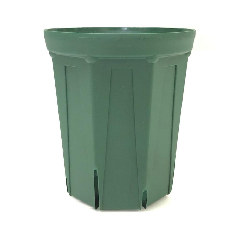 兼弥産業 スリット鉢 27cm CSM-270 モスグリーン 16個入りケース品