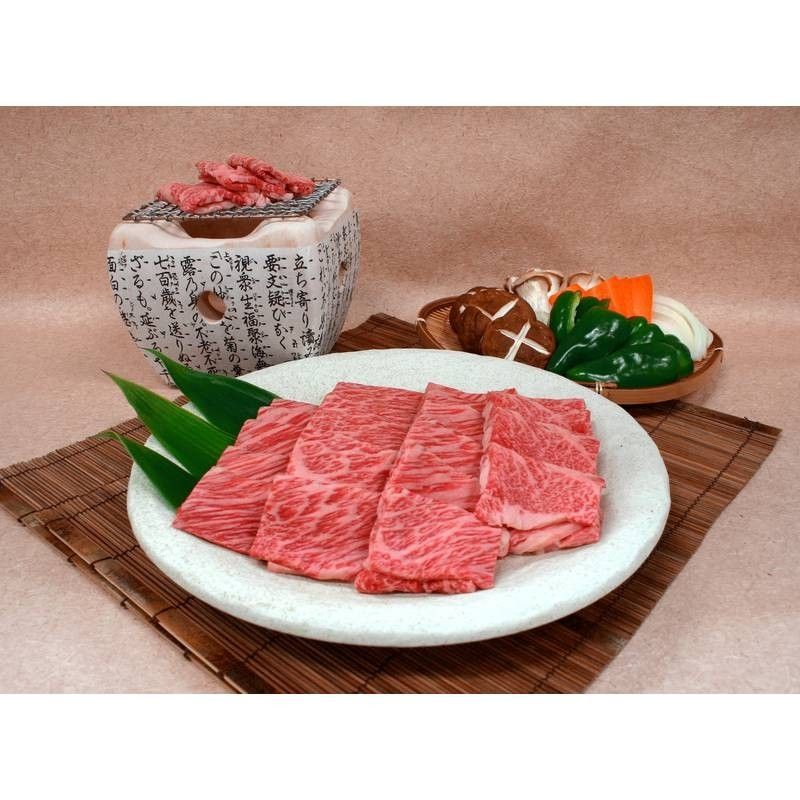 贈り物 ギフト 送料無料 ／【産直】岐阜・JAひだ「飛騨牛」肩ロース焼肉用