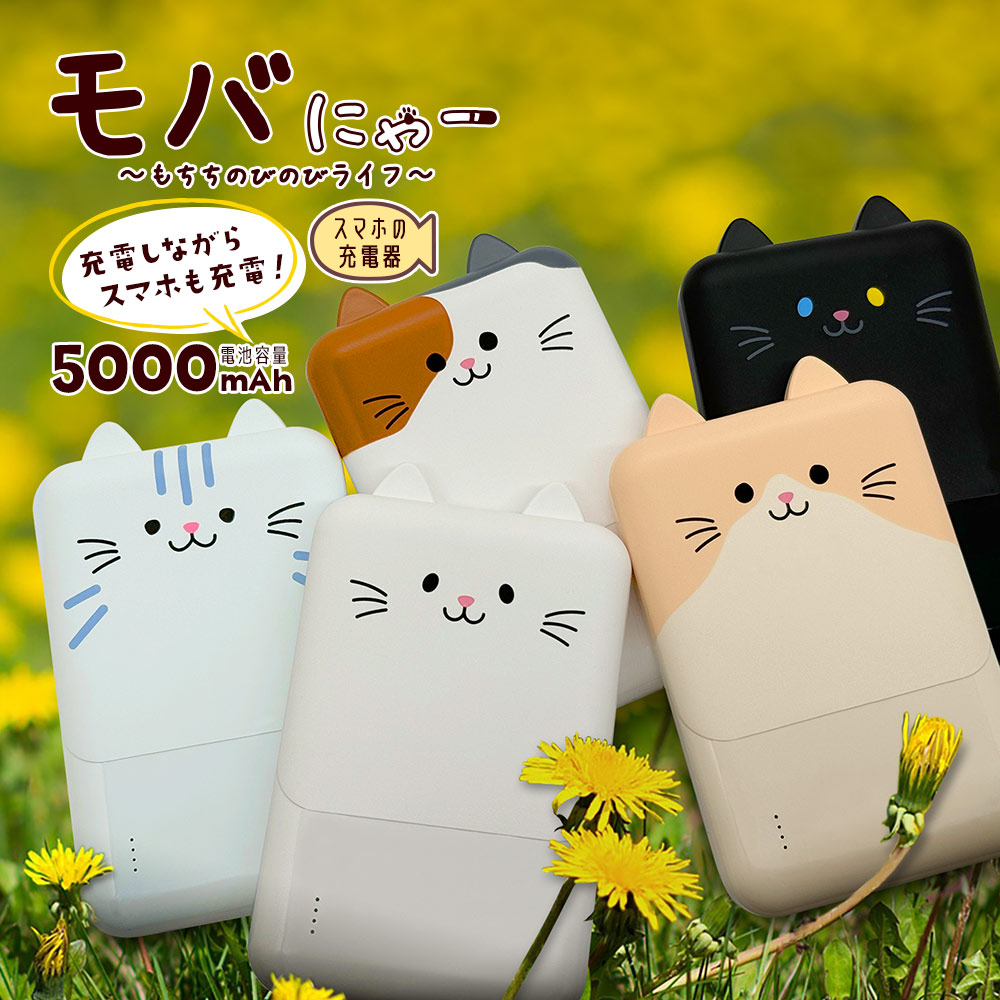 楽天市場】(10％OFFクーポン配布 9/24 01:59まで) 【PSE適合品