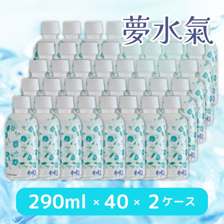 1003555-kf 夢水氣　290ml×40本×2ケース【ワッズ】【送料無料※沖縄・離島を除く】【同梱不可】