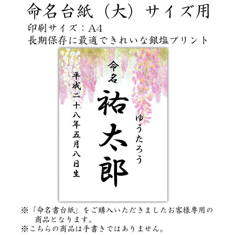 ちょうちょの命名書 爆買い www.nacm.jp