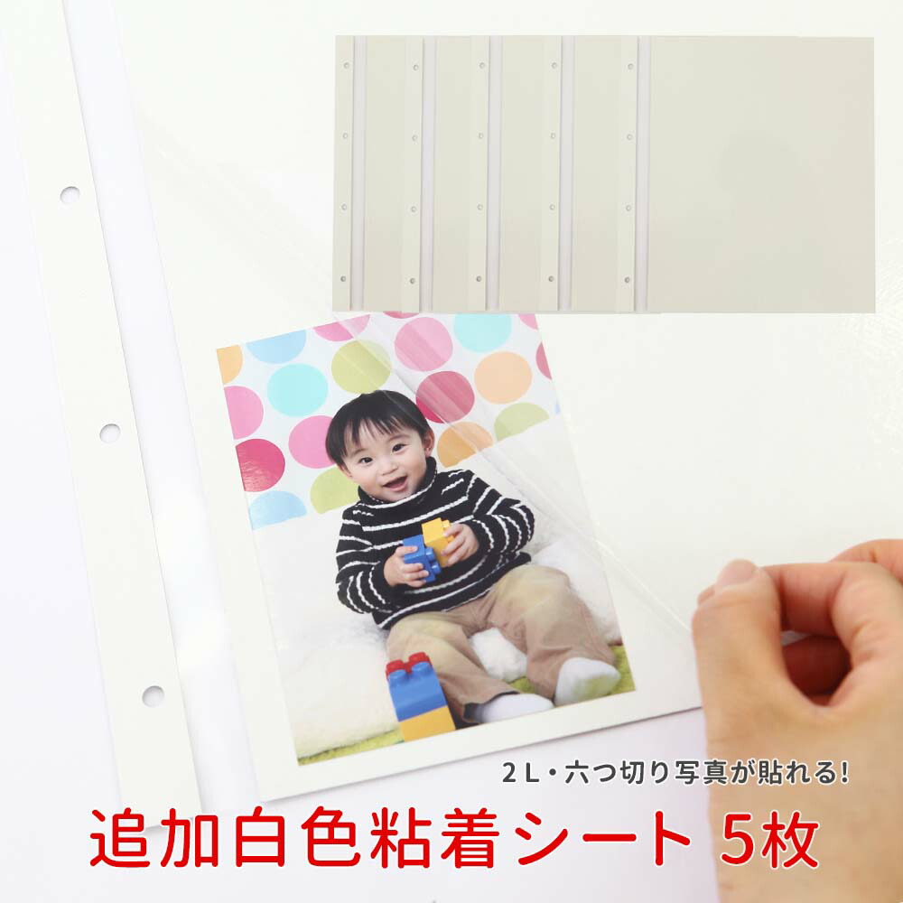 楽天市場】【10/20まで☆200円OFFクーポン】アルバム追加台紙 フリー