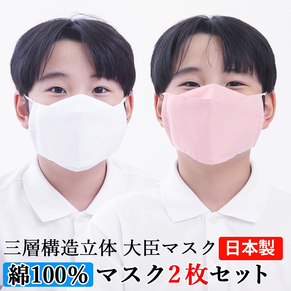 楽天市場 マスク 子供 大臣マスク 日本製 2枚セット 綿100 送料無料 水色 白 立体マスク フィルターポケット付き 舟形 花粉 Pm2 5 黄砂 インフルエンザ アレルゲン ウイルス ハウスダストスギ ヒノキ 給食子供用立体マスク 立体 ハンドメイド 手作り ベビーから