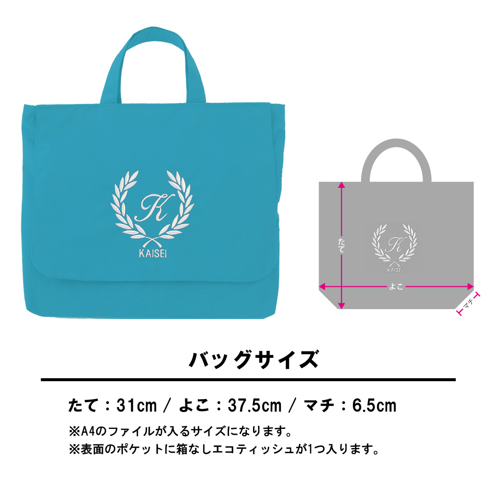 Zipで紹介されました レッスンバッグ ティッシュ取り出し付き ロゴ葉 撥水 ターコイズ風邪 花粉症 アレルギーの子供にうれしい手提げかばん通学 習い事 トートバッグ 手提げかばん 絵本かばん幼稚園 小学校 中学 高校shutopa キッズ 送料無料 Umu Ac Ug