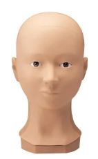 三善 バイオスキンドール