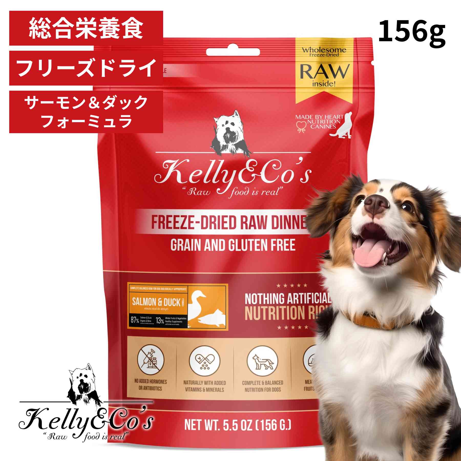 ドッグフード reednier dog-rd-salmonduck-01.jpg