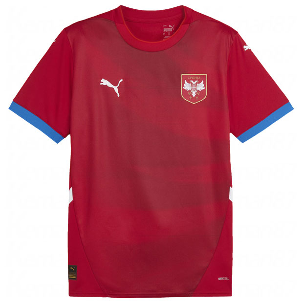 楽天市場】【11/14 20時から11/16までポイント10倍】ナイジェリア代表