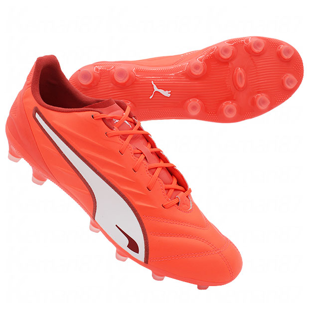 楽天市場】【2/10までポイント10倍】パラメヒコ SE プロ HG/AG