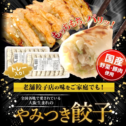【新発売記念ポイント10倍】やみつき餃子18個入り2トレー