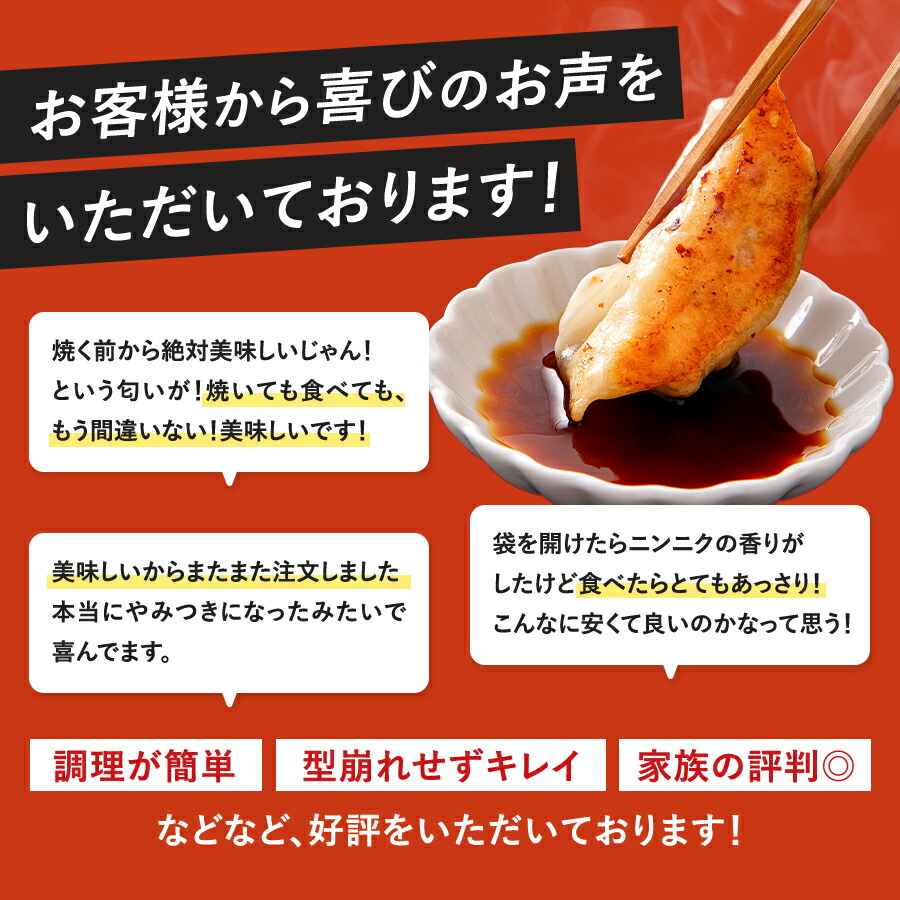 餃子計画 いちど食べたらやみつきになる餃子 720g * 2袋セット