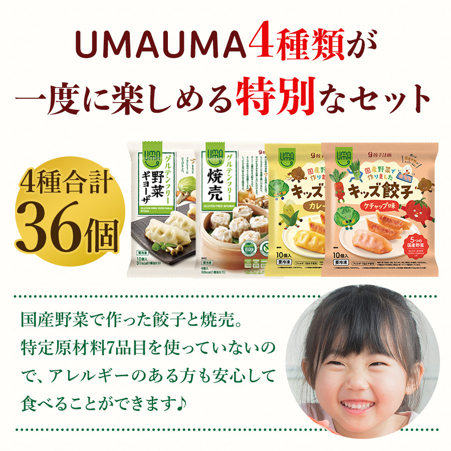 人気急上昇↑↑お家時間訳あり餃子グルテンフリーニッポンの餃子塩40個袋入フード安心安全フリー小麦アレルギー米粉大潟村お取り寄せ餃子アウトレット冷凍食品冷凍餃子【K173】