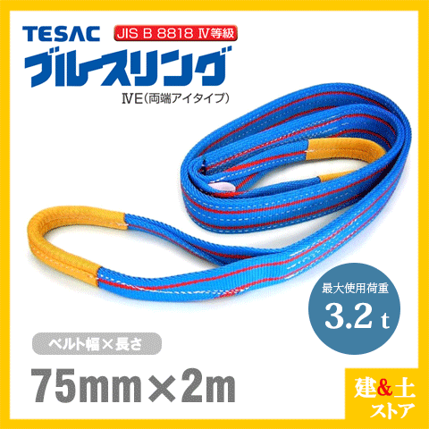 TESAC ブルース輪っか 75mm×2m(掛け目3.2t) JIS4カテゴリー化 両端アイタイプ ナイロンスリング テザック ベルトスリング 吊具 揚重