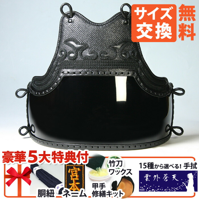 なぎなた 胴 鬼雲飾り 紺碁板刺し 小胸2本足 一般向け 送料無料 胴 単品 】鬼雲飾り 濃紺碁盤刺し 翔 -SYO- ［N-BG-6VSD